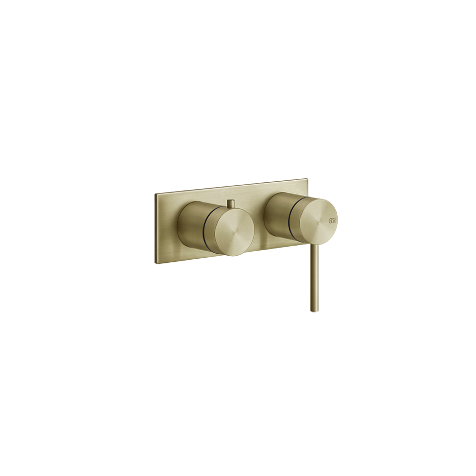 Shower316 Shower Mixer - 54079 Bathroom Accessories GESSI Brass Brushed PVD