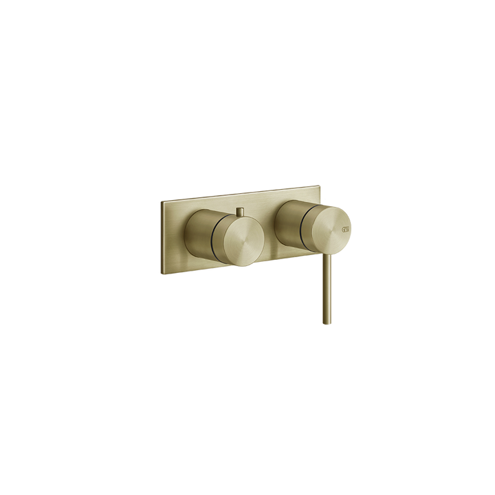 Shower316 Shower Mixer - 54079 Bathroom Accessories GESSI Brass Brushed PVD