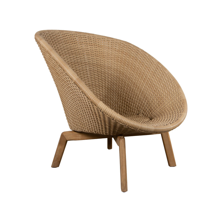 Peacock Outdoor Lounge Chair