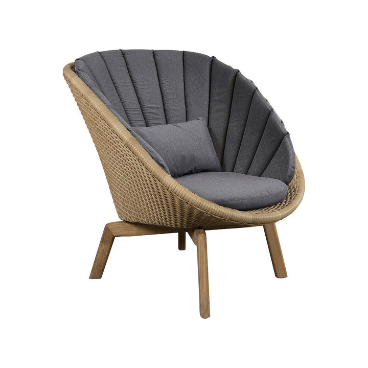 Peacock Outdoor Lounge Chair