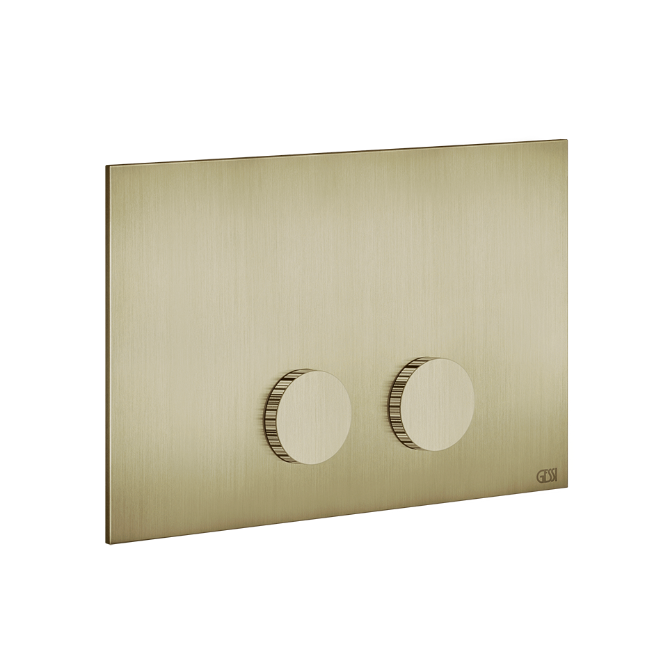Ingranaggio Cover Plate - 54635 Bathroom Accessories GESSI Brass Brushed PVD