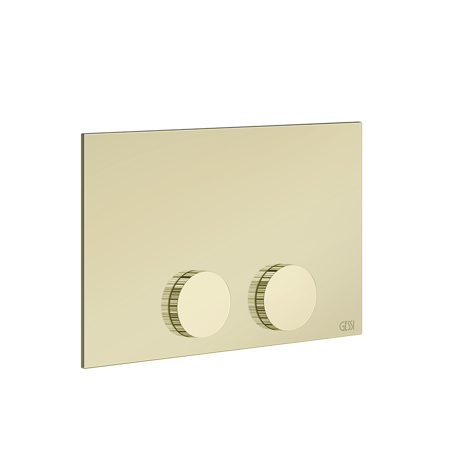 Ingranaggio Cover Plate - 54641 Bathroom Accessories GESSI Brass PVD