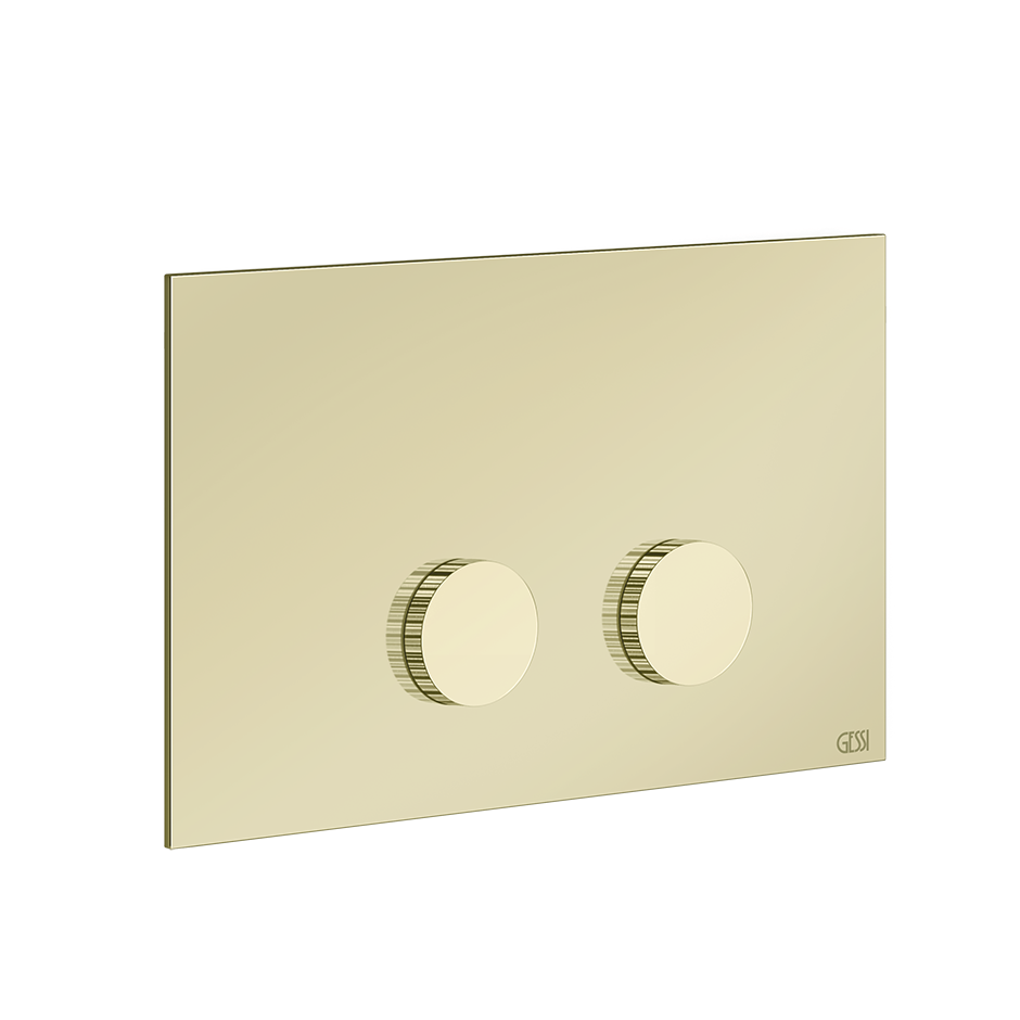 Ingranaggio Cover Plate - 54643 Bathroom Accessories GESSI Brass PVD