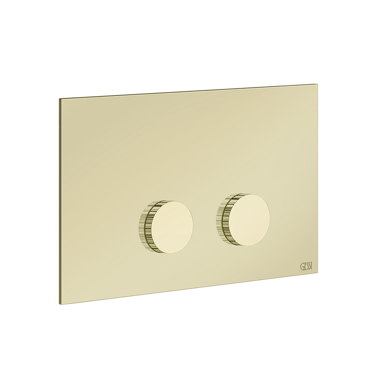 Ingranaggio Cover Plate - 54643 Bathroom Accessories GESSI Brass PVD
