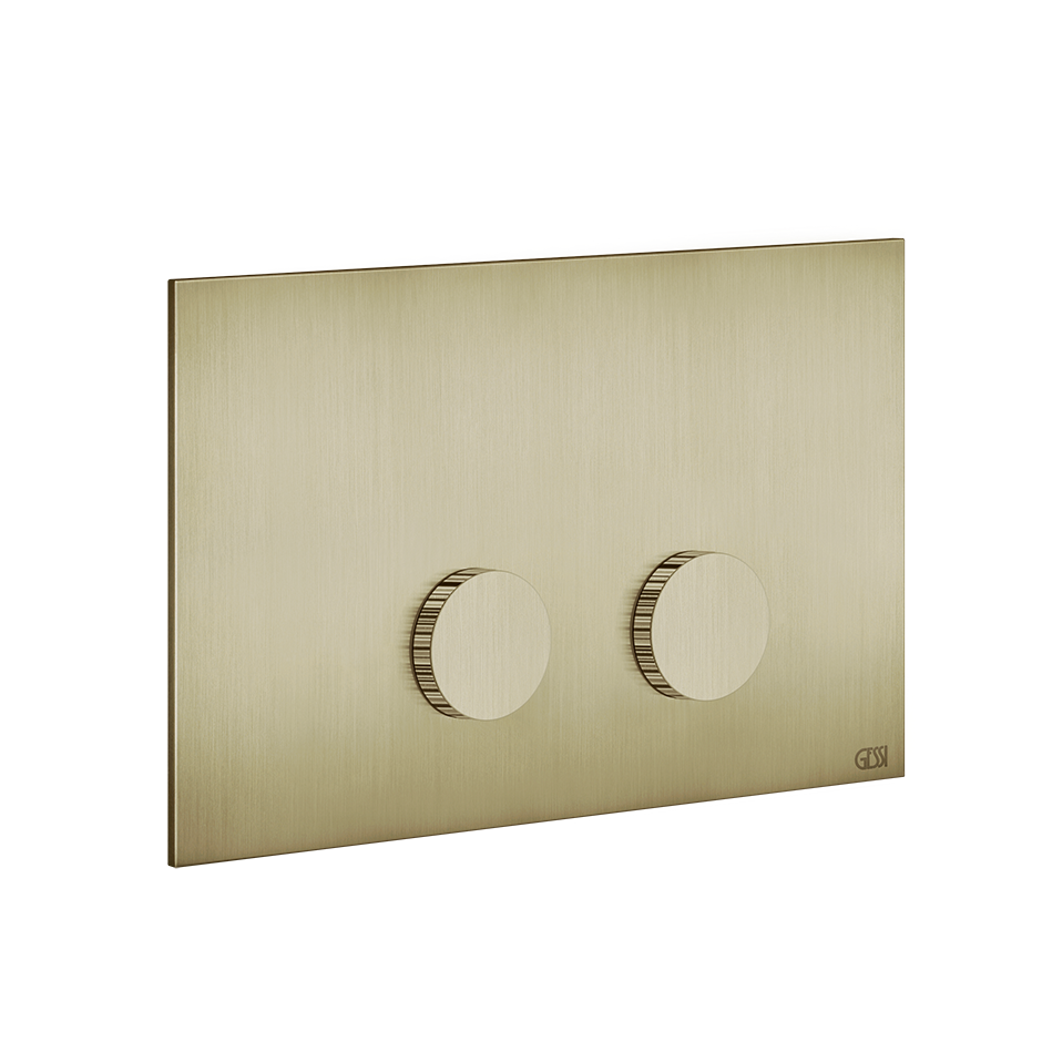 Ingranaggio Cover Plate - 54643 Bathroom Accessories GESSI Brass Brushed PVD