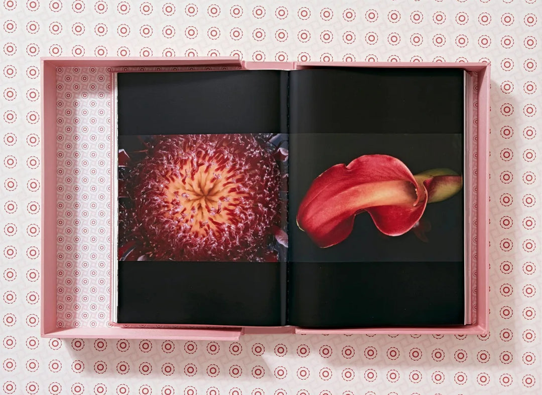Araki Print Books Taschen   