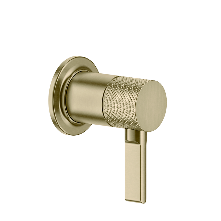 Inciso Bathroom Faucet Handle - 58109 Bathroom Accessories GESSI Brass Brushed PVD