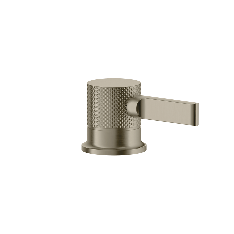Inciso Bathroom Faucet Control - 58200 Bathroom Accessories GESSI Finox Brushed Nickel