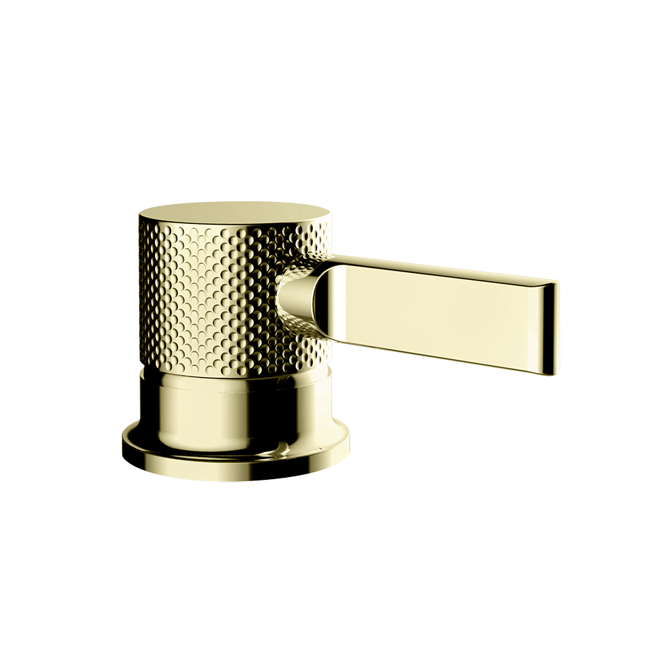 Inciso Bathroom Faucet Control - 58200 Bathroom Accessories GESSI Brass PVD