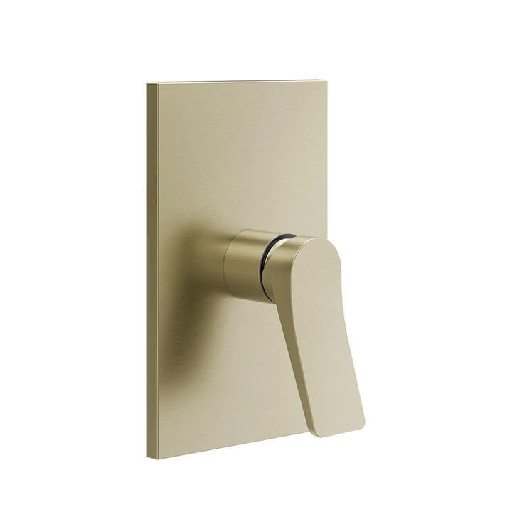 Rilievo Shower Mixer - 59061 Bathroom Accessories GESSI Brass Brushed PVD