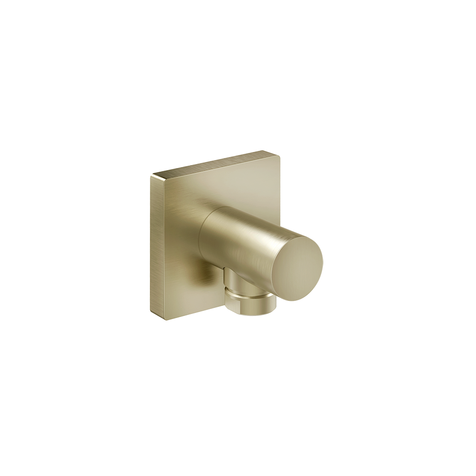 Rilievo Water Outlet - 59169 Bathroom Accessories GESSI Brass Brushed PVD