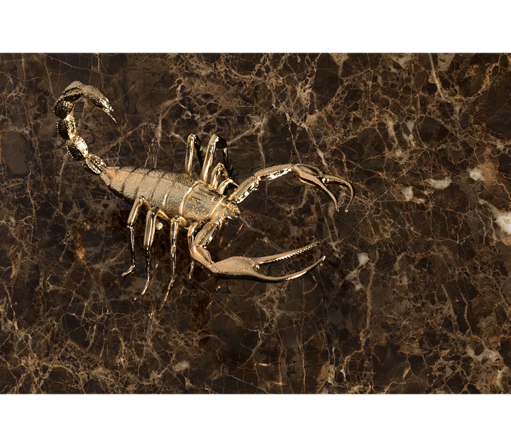 Metamorphosis Center Table  Boca Do Lobo   