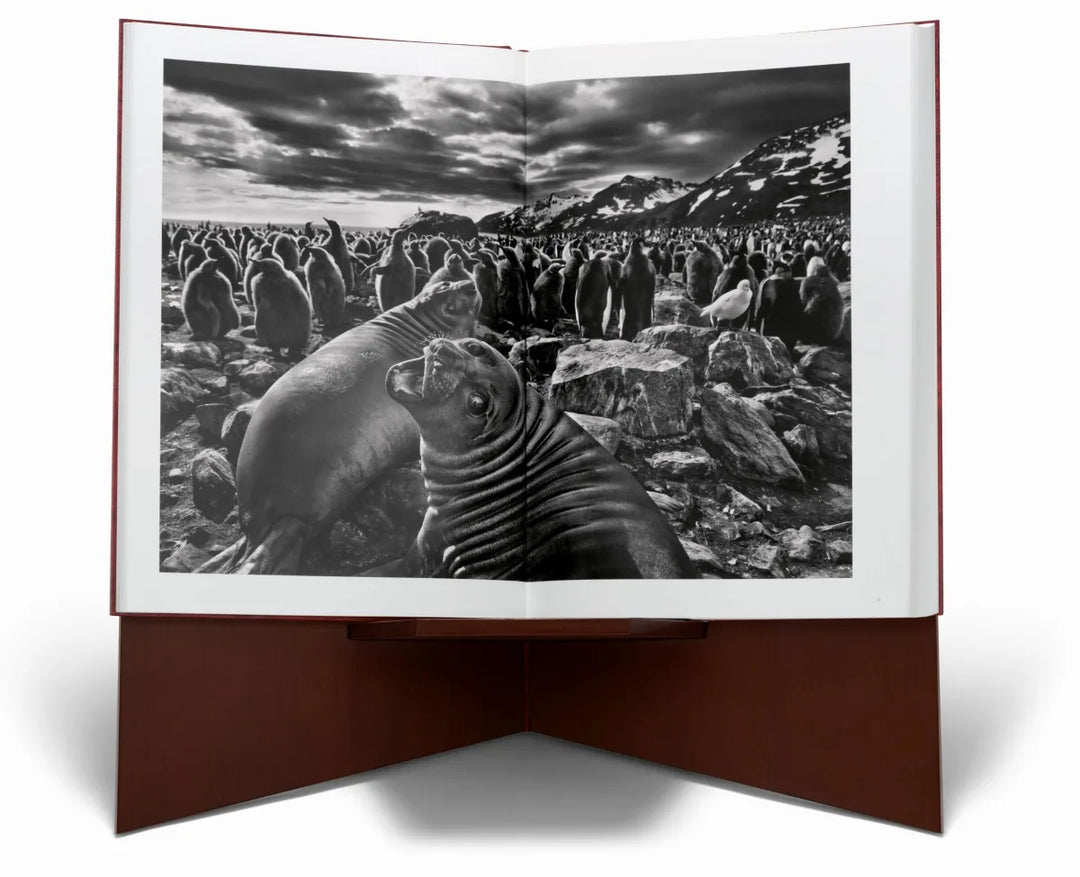 Sebastião Salgado. Genesis. Art Edition No․ 1–100 'Two Mursi Women