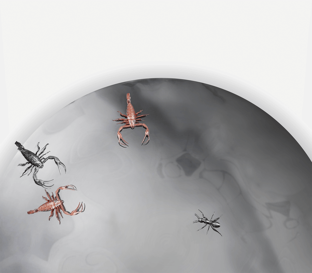 concave metamorphosis mirror Mirrors Boca Do Lobo