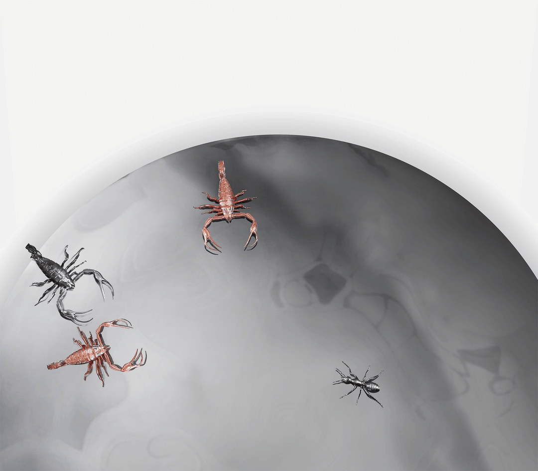 concave metamorphosis mirror Mirrors Boca Do Lobo