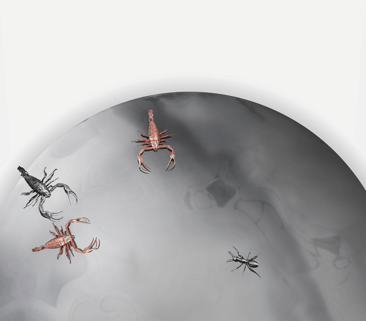 concave metamorphosis mirror Mirrors Boca Do Lobo