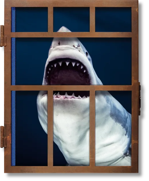 Michael Muller. Sharks Print Books Taschen   