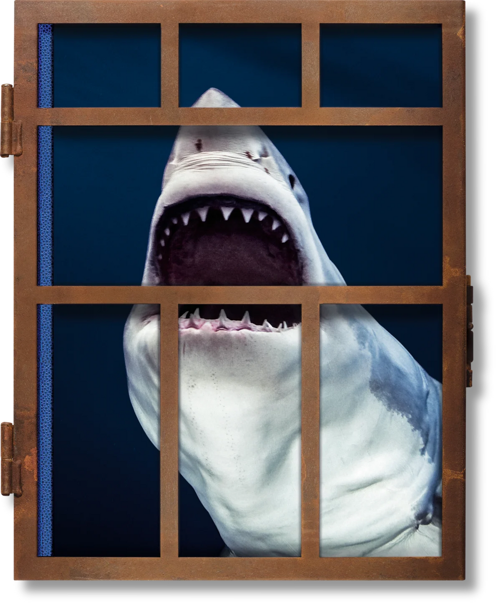 Michael Muller. Sharks Print Books Taschen   