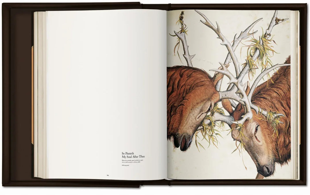 Walton Ford. Pancha Tantra Print Books Taschen   
