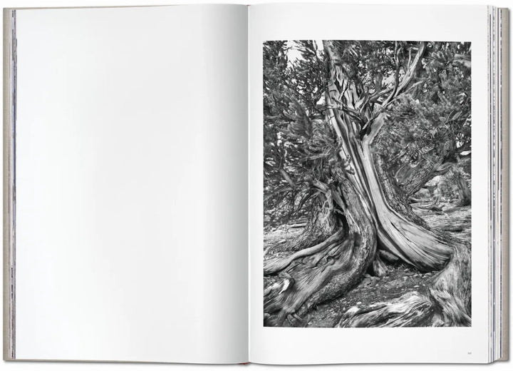 Sebastião Salgado. Genesis Print Books Taschen   