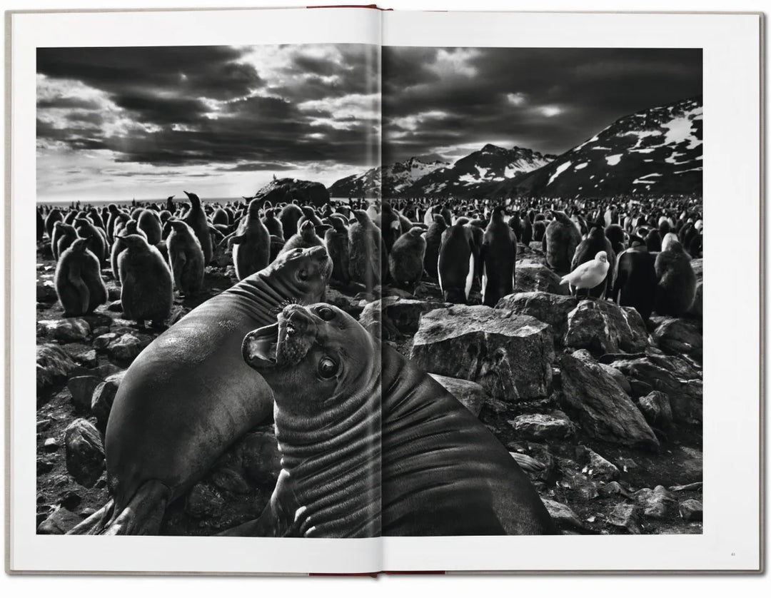 GENESIS SEBASTIÃO SALGADO TASCHEN Sebastiao Salgado: Genesis