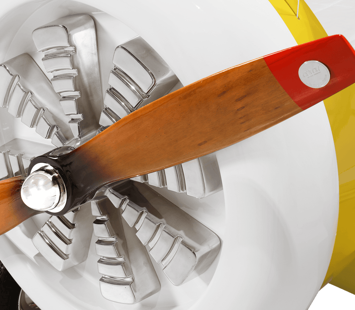 Sky B Plane Bed  Circu   