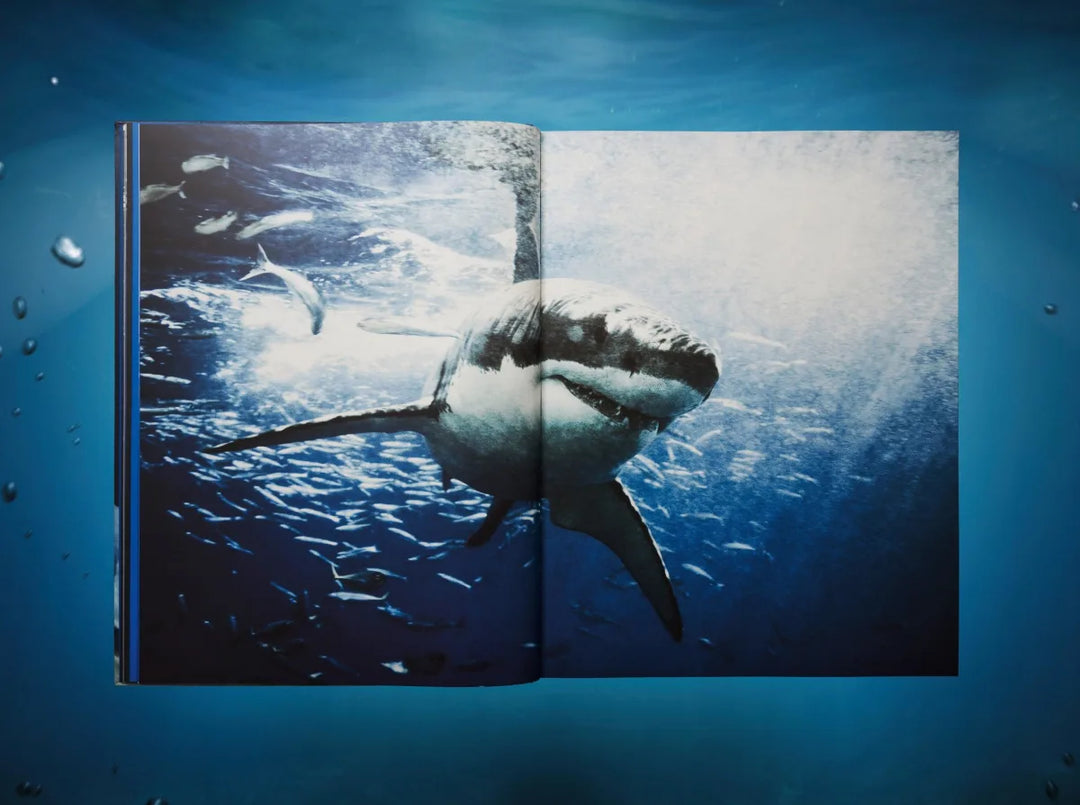 Michael Muller. Sharks Print Books Taschen   