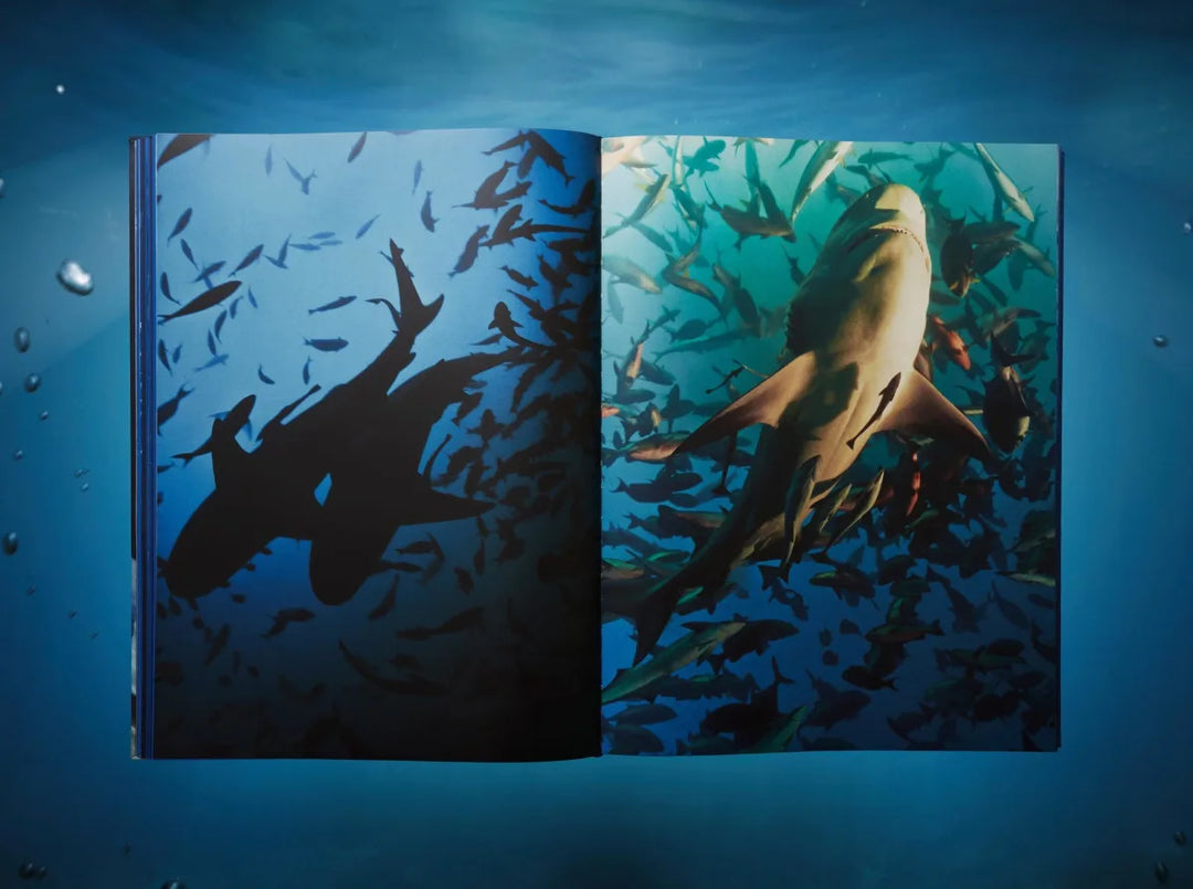 Michael Muller. Sharks Print Books Taschen   