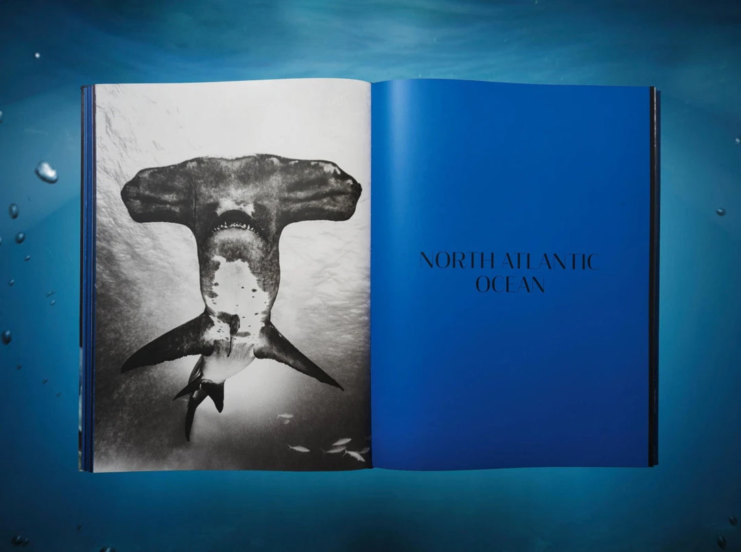 Michael Muller. Sharks Print Books Taschen   