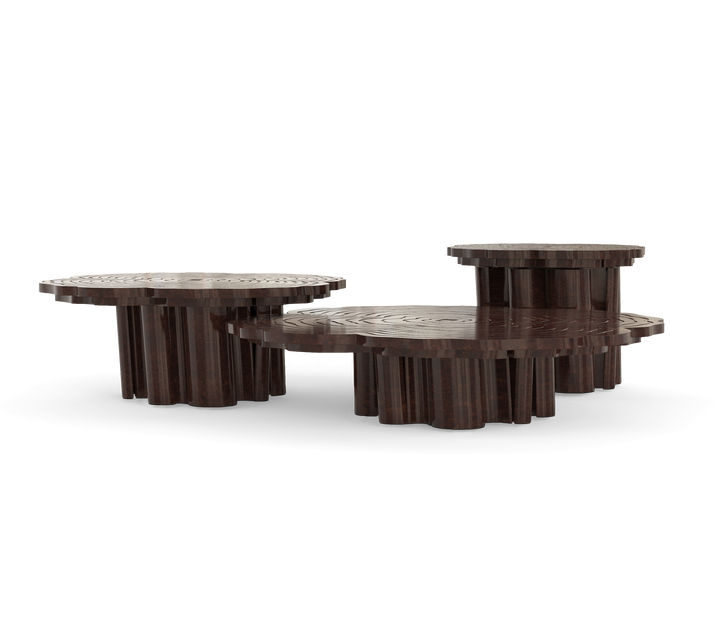 Fortuna Patina Center Table  Boca Do Lobo Walnut Root  