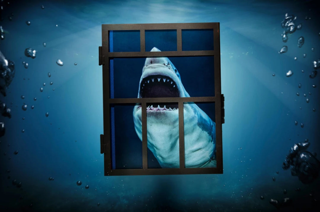 Michael Muller. Sharks Print Books Taschen   
