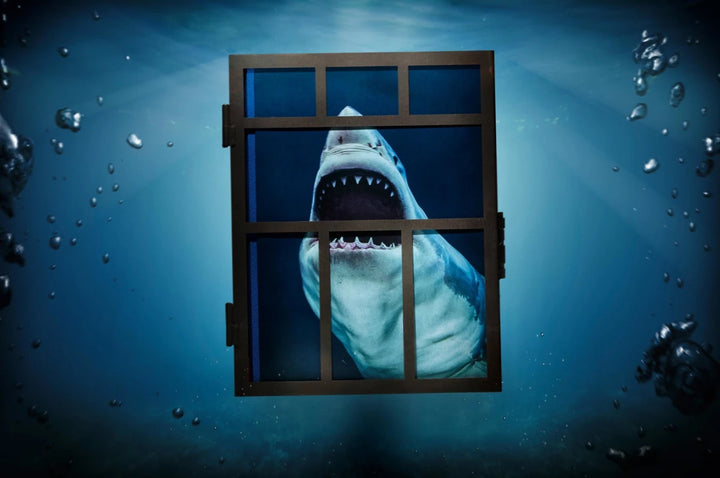 Michael Muller. Sharks Print Books Taschen   
