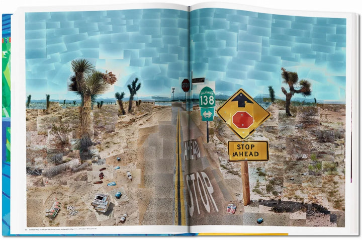 David Hockney. A Bigger Book Print Books Taschen   