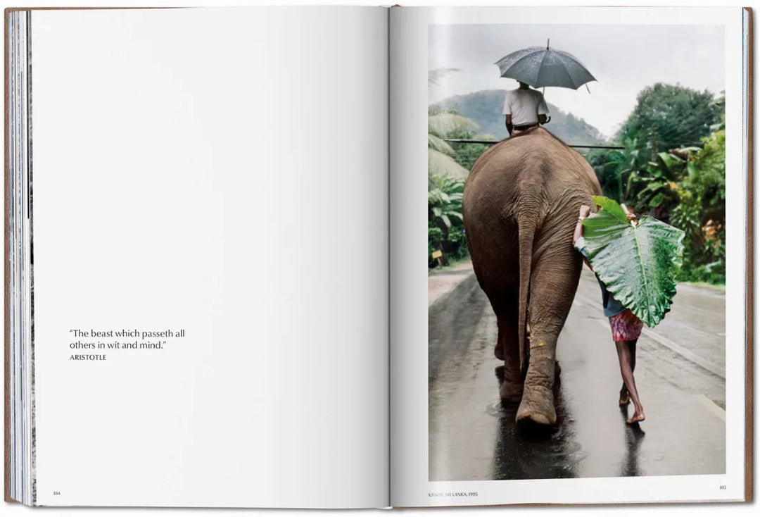 ボ*様 サイン入り Steve McCurry Steve McCurry ボ*様 サイン入り Steve McCurry Steve McCurry - メルカリ