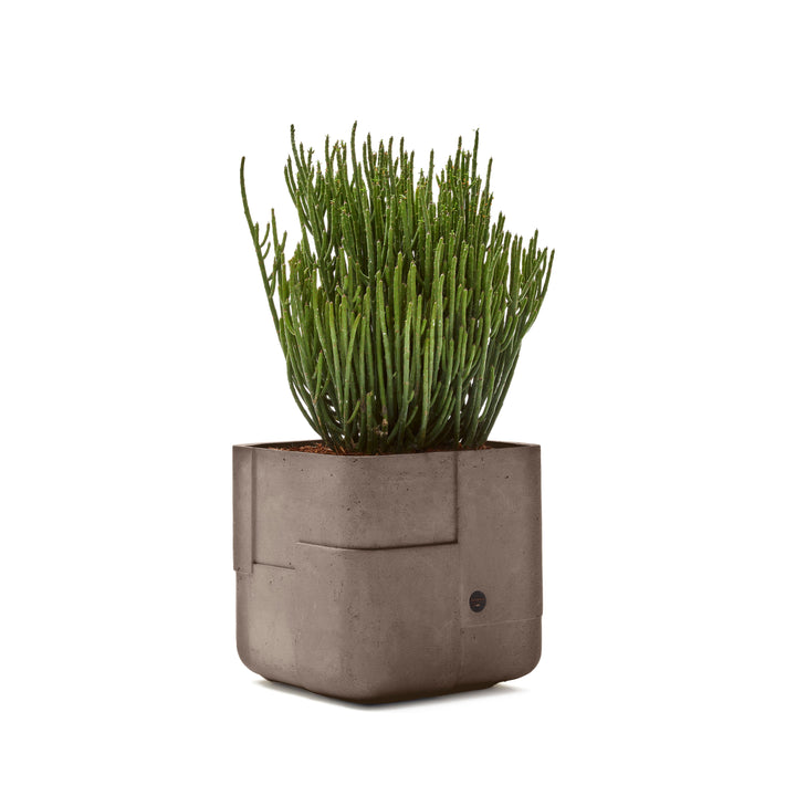 Aarde Planter – Square XS Outdoor Planters Indigenus