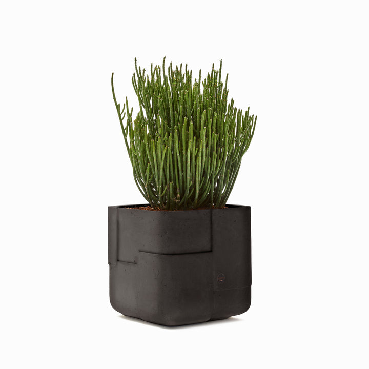 Aarde Planter – Square XS Outdoor Planters Indigenus Black