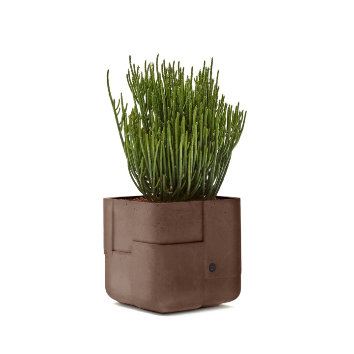 Aarde Planter – Square XS Outdoor Planters Indigenus Brown