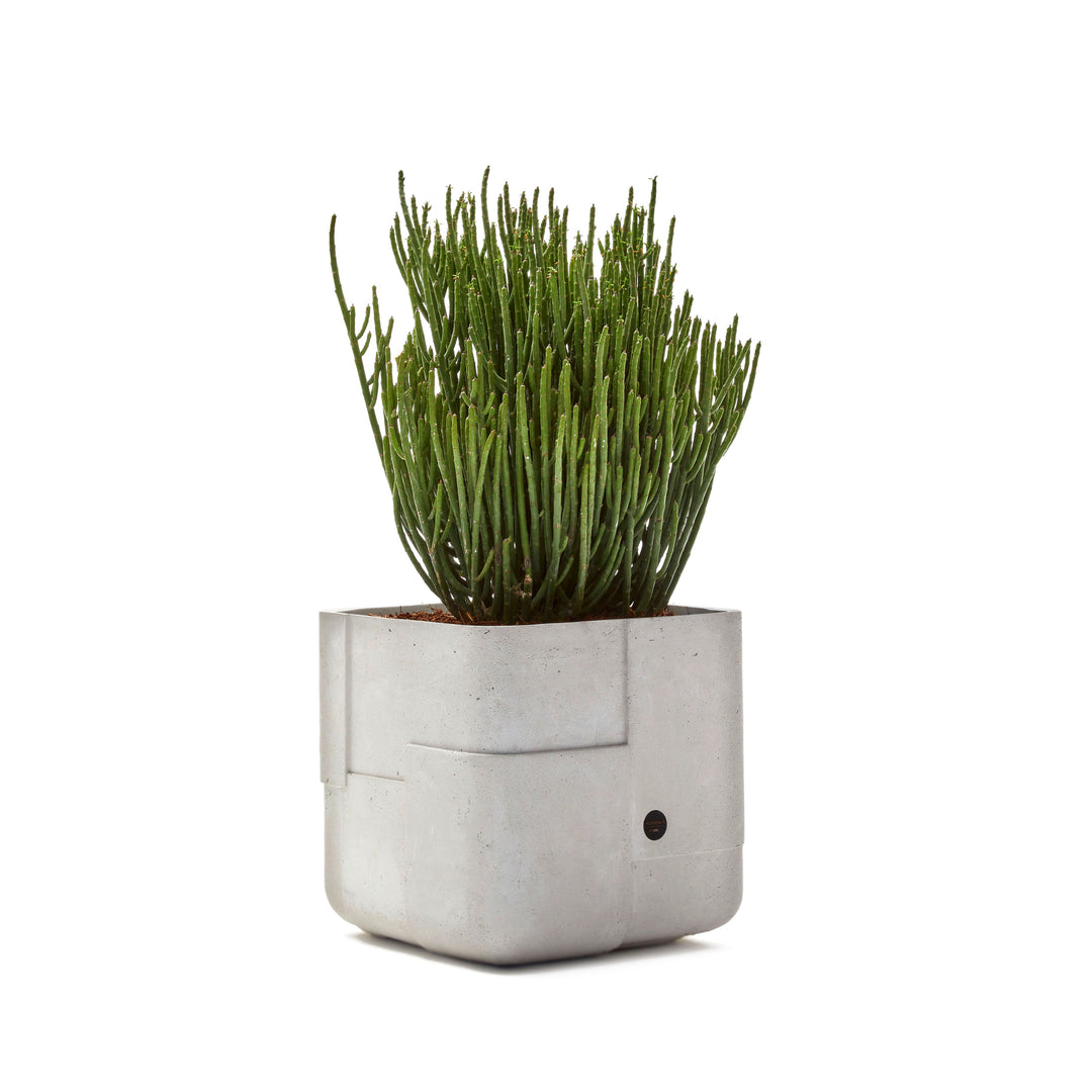 Aarde Planter – Square XS Outdoor Planters Indigenus Grey