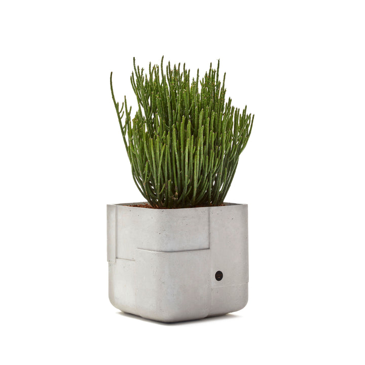 Aarde Planter – Square XS Outdoor Planters Indigenus Grey