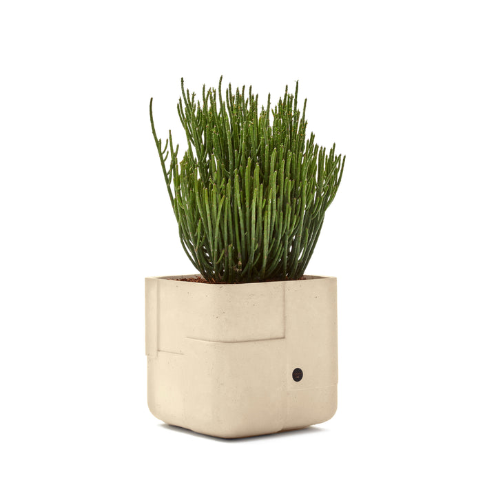 Aarde Planter – Square XS Outdoor Planters Indigenus Sandstone