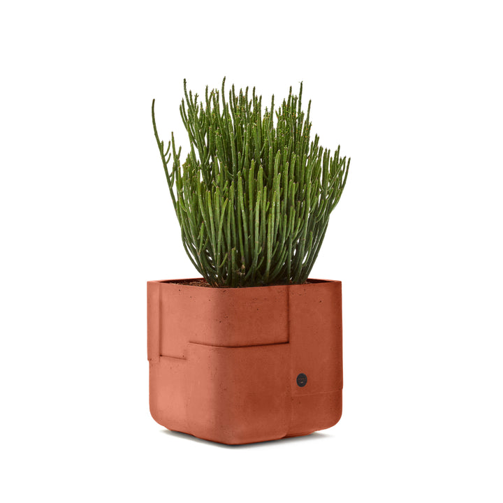 Aarde Planter – Square XS Outdoor Planters Indigenus Terracota
