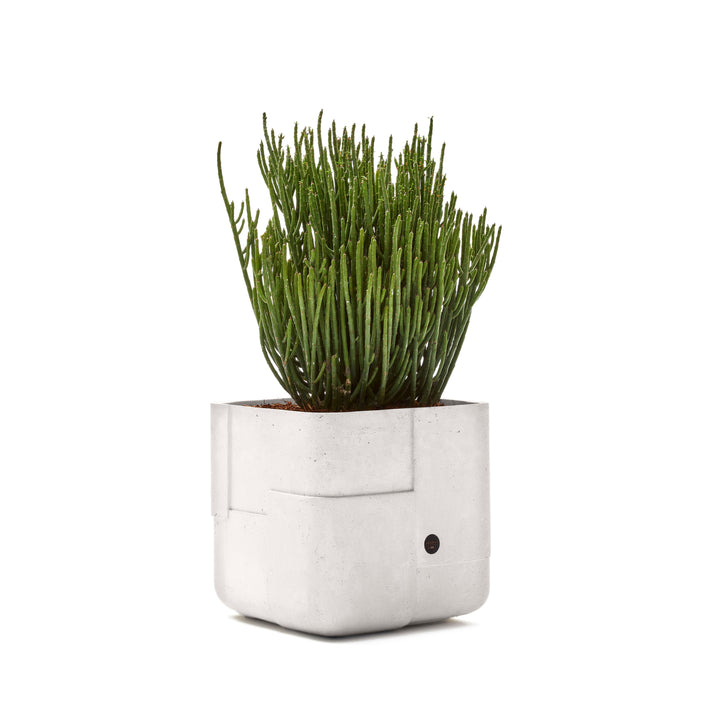 Aarde Planter – Square XS Outdoor Planters Indigenus White