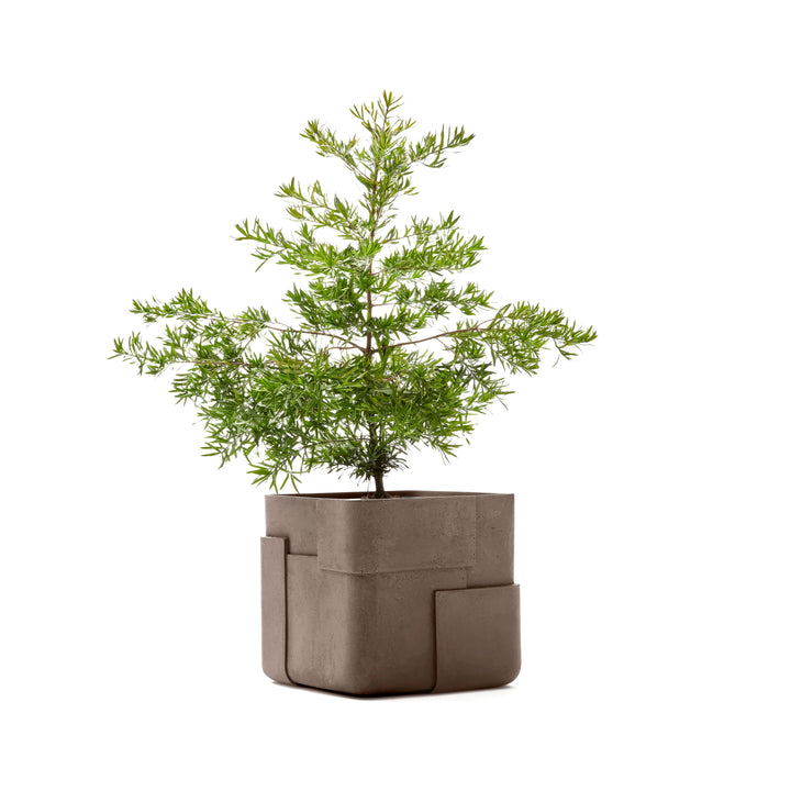 Aarde Planter – Square Outdoor Planters Indigenus Grey