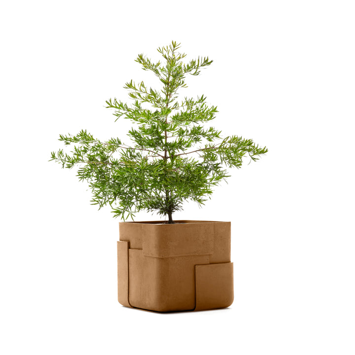 Aarde Planter – Square Outdoor Planters Indigenus Brown