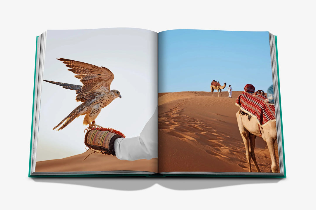Abu Dhabi Bright Book Print Books Assouline