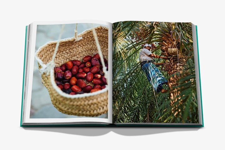 Abu Dhabi Bright Book Print Books Assouline