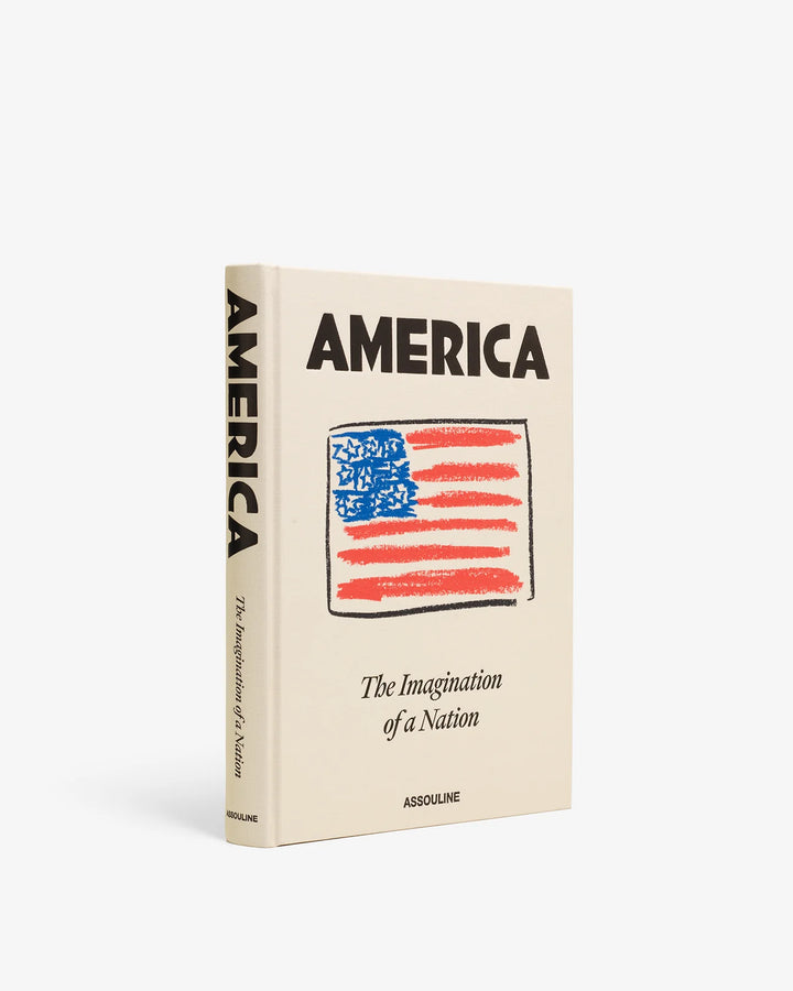 America: The Imagination of a Nation Book