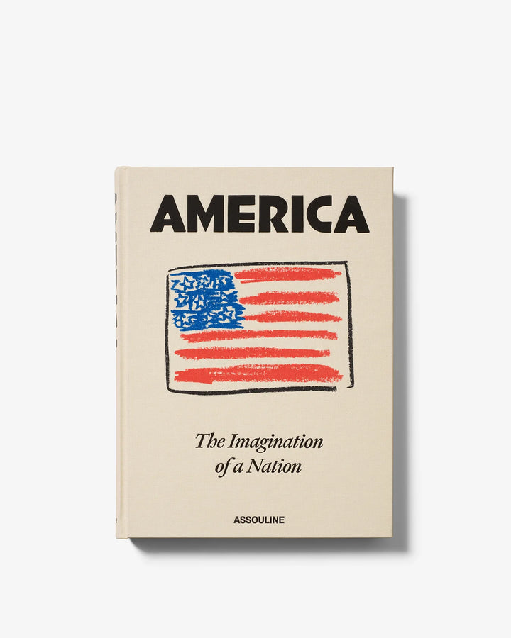 America: The Imagination of a Nation Book