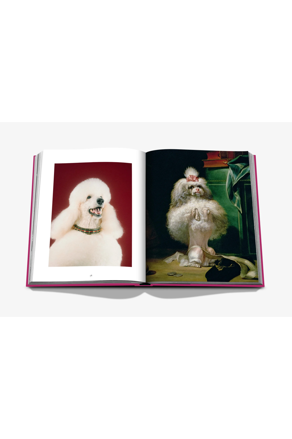 Assouline Chic Dogs Book Books Assouline