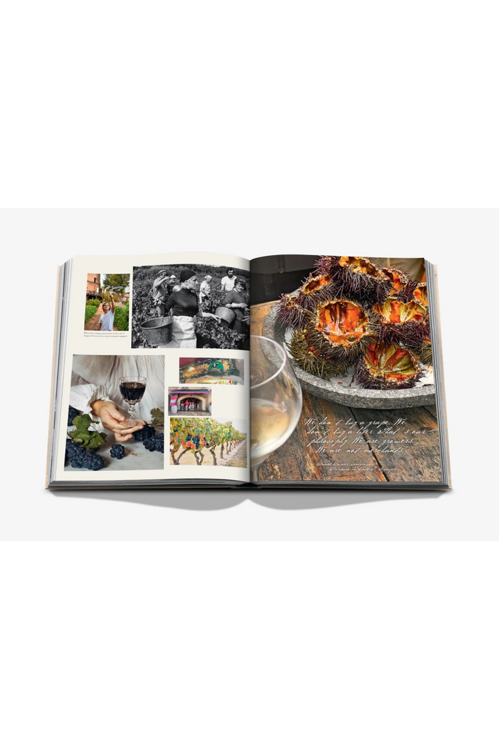 Assouline Wine & Travel France Book Books Assouline